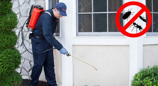 Artuklu Fare İlaçlama böcek ilaçlama ve haşere kontrolü — ilaclama-tr.com